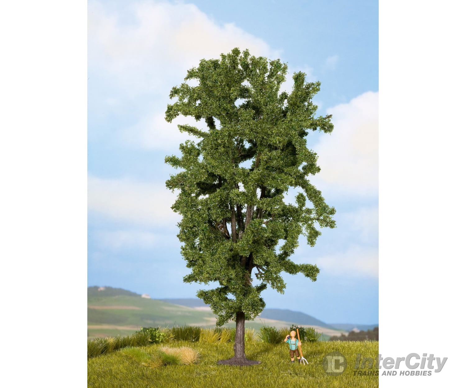 Noch 25895 HO TT N O horse Chestnut Tree Trees & Vegetation