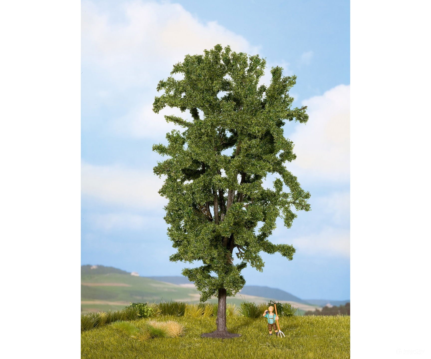Noch 25895 HO TT N O horse Chestnut Tree Trees & Vegetation