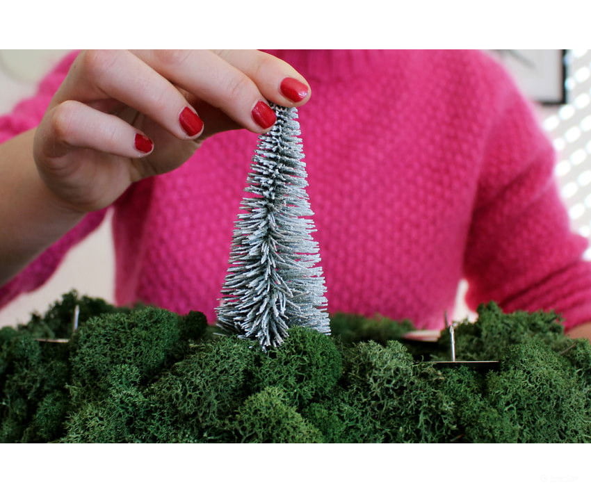 Noch 32828 N Z Snowy Fir Trees Trees & Vegetation