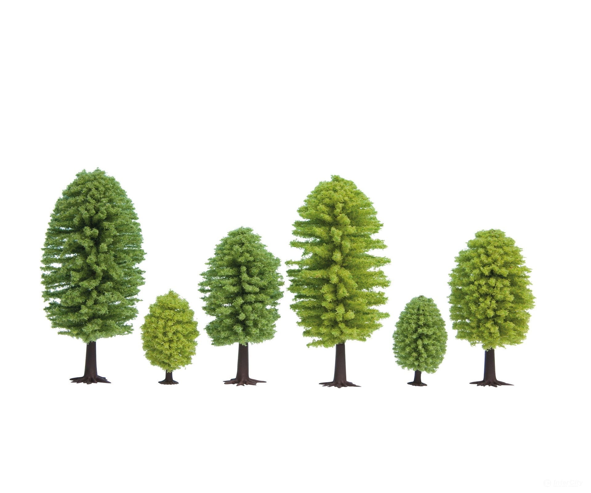 Noch 32901 N Z Deciduous Trees Trees & Vegetation