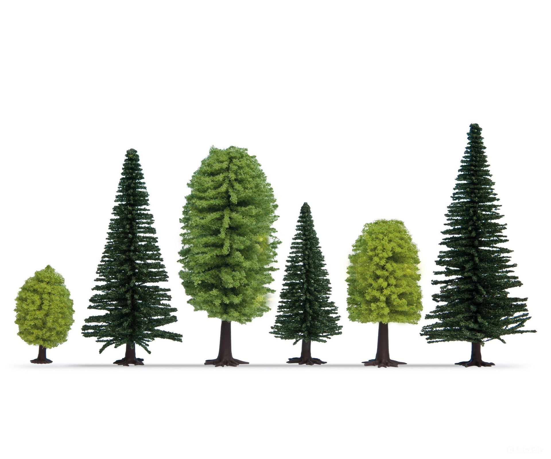 Noch 32911 N Z Mixed Forest Trees & Vegetation