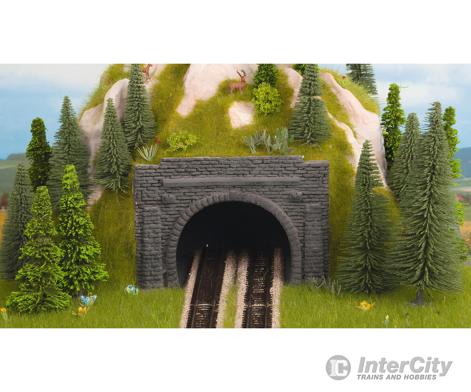 Noch 48800 TT Scale-Reducing Portal Double Track Tunnels & Bridges