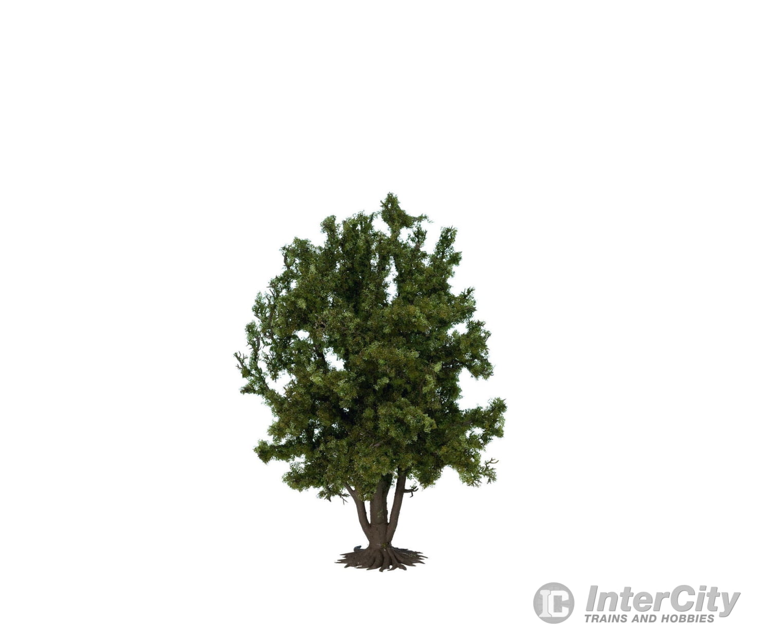 Noch 68015 O G Deciduous Tree Trees & Vegetation