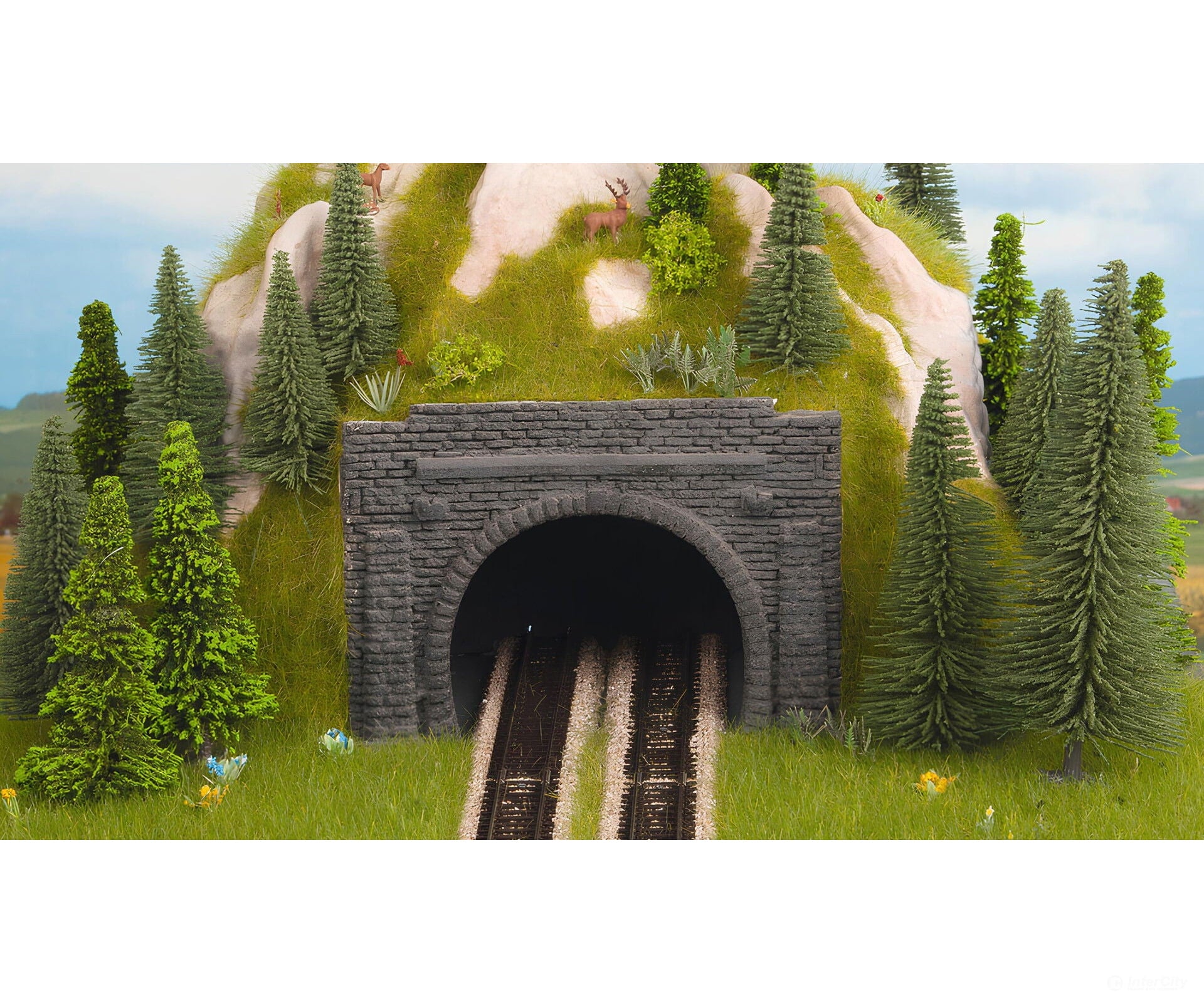 Noch 48800 TT Scale-Reducing Portal Double Track Tunnels & Bridges