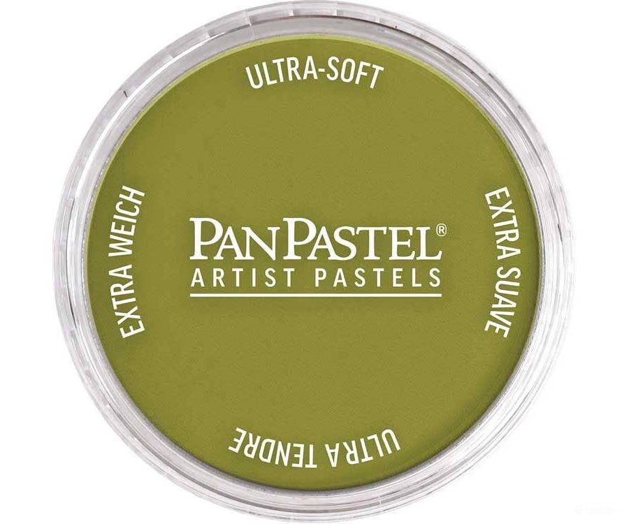 Pan Pastel A 26803 Panpastel Color Powder - Bright Yellow Green Shade - Paint