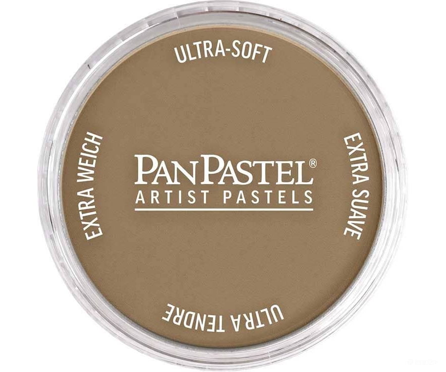Pan Pastel A 27807 Panpastel Color Powder - Raw Umber Light - Paint