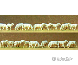 Preiser Ho 14161 Animals -- Sheep (White) Pkg(18) Figures