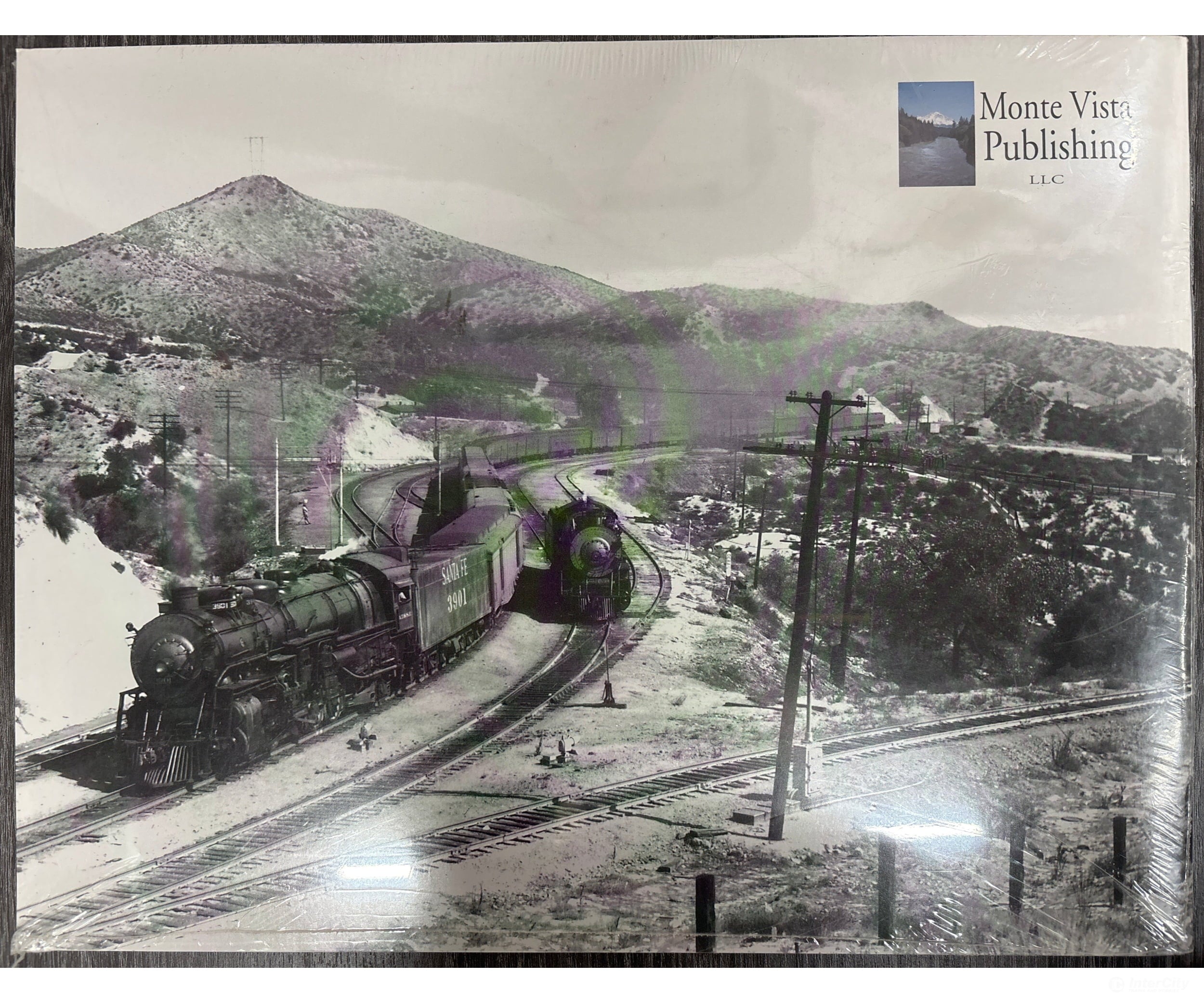 Santa Fe 2-10-2 Pictorial 33887 - #3909 3800 Class 3rd in the series (Santa Fe Steam series Volume 12) Books