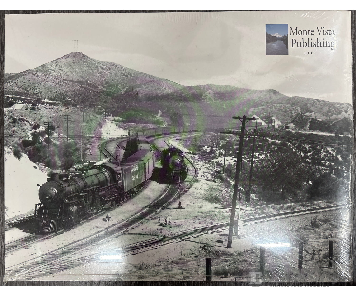 Santa Fe 2-10-2 Pictorial 33887 - #3909 3800 Class 3rd in the series (Santa Fe Steam series Volume 12) Books
