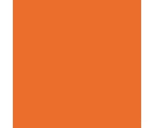 Tru-Color Paint 115 Railroad Color Acrylic Paints - 1Oz 29.6Ml -- Genessee & Wyoming Orange