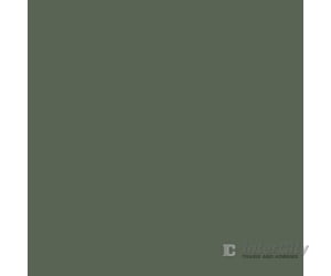 Tru-Color Paint 124 Railroad Color Acrylic Paints - 1Oz 29.6Ml -- British Columbia Railway Light