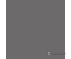 Tru-Color Paint 129 Railroad Color Acrylic Paints - 1Oz 29.6Ml -- New York Central Light Gray