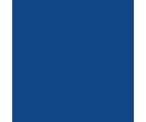 Tru-Color Paint 137 Railroad Color Acrylic Paints - 1Oz 29.6Ml -- Dakota Minnesota & Eastern / Iowa