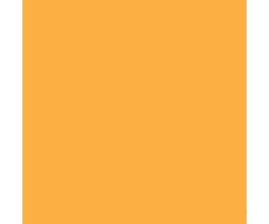 Tru-Color Paint 138 Railroad Color Acrylic Paints - 1Oz 29.6Ml -- Dakota Minnesota & Eastern / Iowa