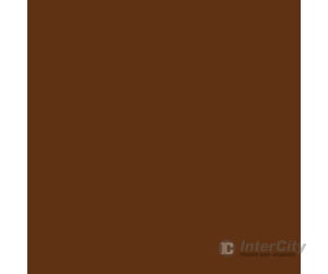Tru-Color Paint 163 Railroad Color Acrylic Paints - 1Oz 29.6Ml -- Southern Pacific Depot Trim Brown
