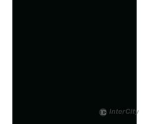 Tru-Color Paint 241 Railroad Color Acrylic Paints - 1Oz 29.6Ml -- Burlington Northern Executive