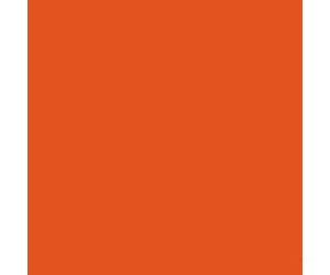 Tru-Color Paint 258 Railroad Color Acrylic Paints - 1Oz 29.6Ml -- Northern Pacific