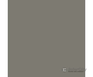 Tru-Color Paint 29 Railroad Color Acrylic Paints - 1Oz 29.6Ml -- Delaware & Hudson Gray