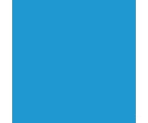 Tru-Color Paint 31 Railroad Color Acrylic Paints - 1Oz 29.6Ml -- Boston & Maine Blue