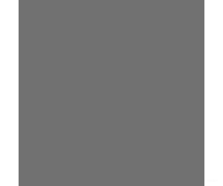 Tru-Color Paint 331 Railroad Color Acrylic Paints - 1Oz 29.6Ml -- Chicago Burlington & Quincy Gray