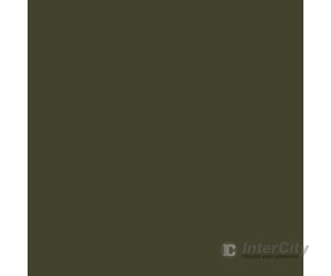 Tru-Color Paint 34 Railroad Color Acrylic Paints - 1Oz 29.6Ml -- Canadian National Green