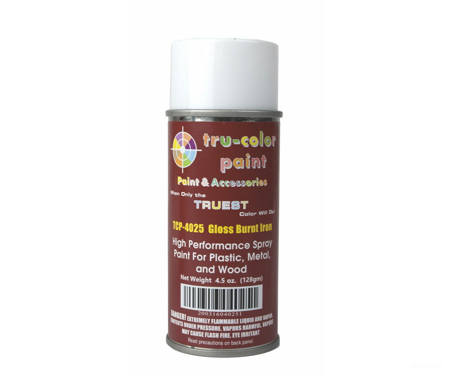 Tru-Color Paint 4025 Aerosol Spray 4.5Oz 135Ml Can -- Matte Burnt Iron