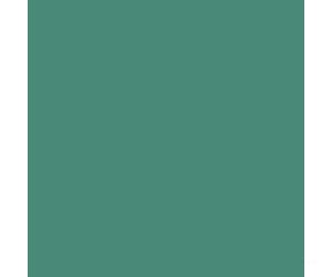 Tru-Color Paint 44 Railroad Color Acrylic Paints - 1Oz 29.6Ml -- Penn Central Green