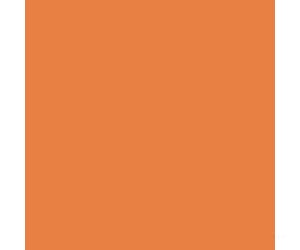 Tru-Color Paint 45 Railroad Color Acrylic Paints - 1Oz 29.6Ml -- Denver & Rio Grande Western Aspen