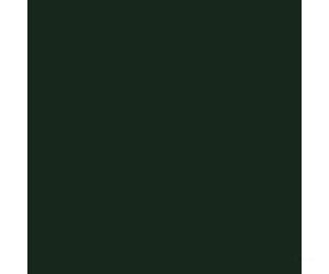 Tru-Color Paint 62 Railroad Color Acrylic Paints - 1Oz 29.6Ml -- Burlington Northern & Santa Fe