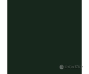 Tru-Color Paint 62 Railroad Color Acrylic Paints - 1Oz 29.6Ml -- Burlington Northern & Santa Fe