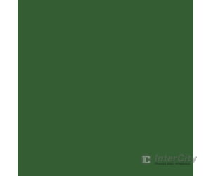 Tru-Color Paint 67 Railroad Color Acrylic Paints - 1Oz 29.6Ml -- Burlington Northern Cascade Green