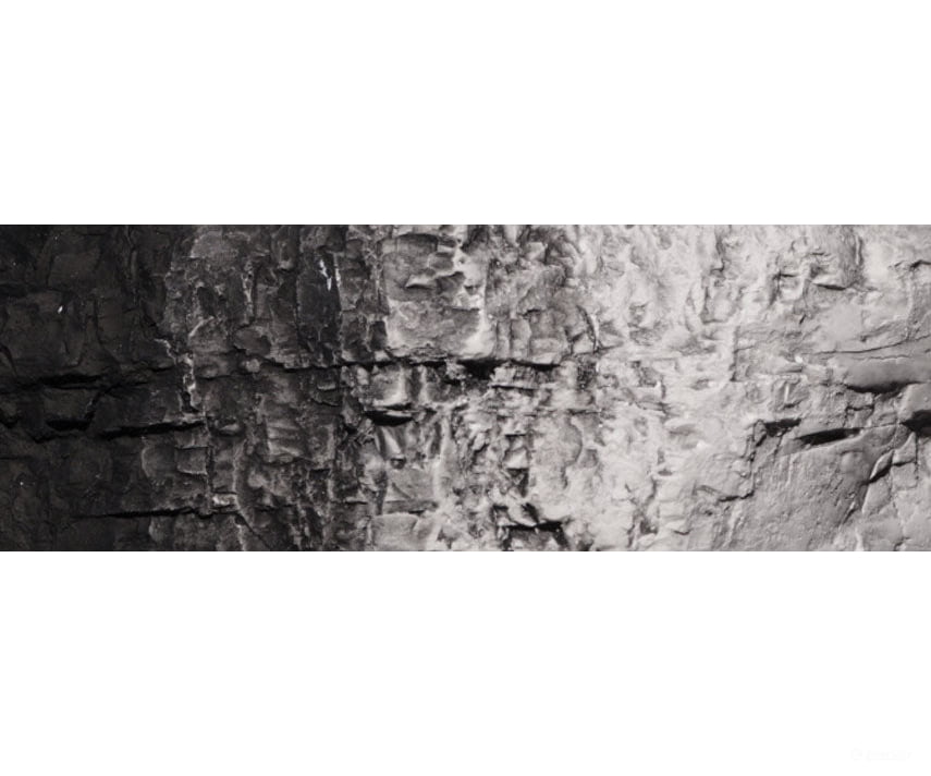 Woodland Scenics 1220 Paint - Black Paint