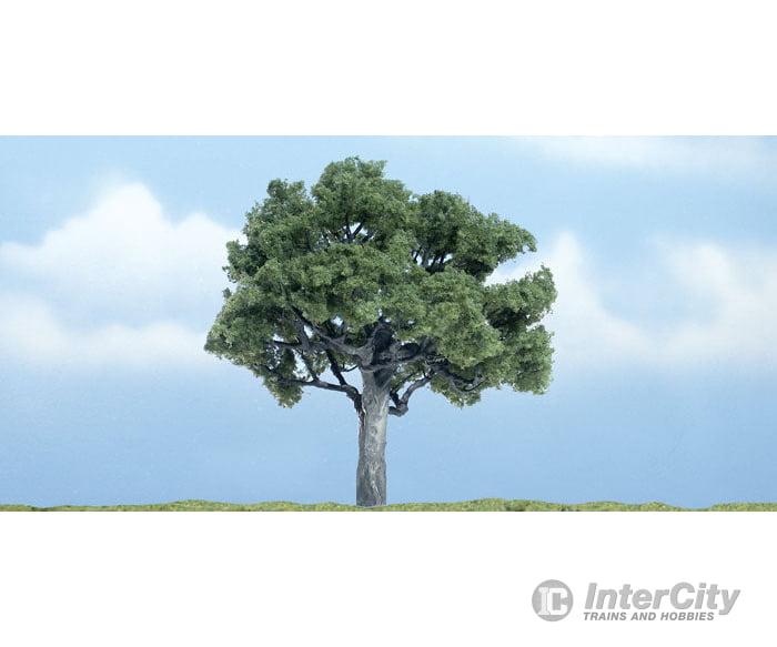 Woodland Scenics 1622 Ready Made Premium Trees(Tm) - Deciduous - - Walnut 4 - 1/4’ 10.8Cm Trees &