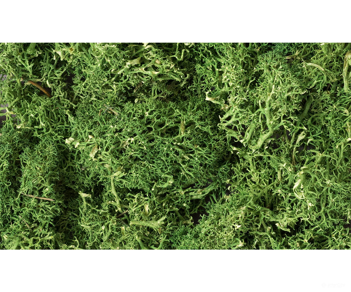Woodland Scenics 163 Lichen - Medium Grn Trees & Vegetation
