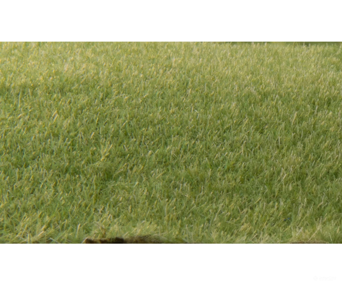 Woodland Scenics 614 Static Grass - Field System Medium Green 1/16’ 2Mm Fibers & Applicators