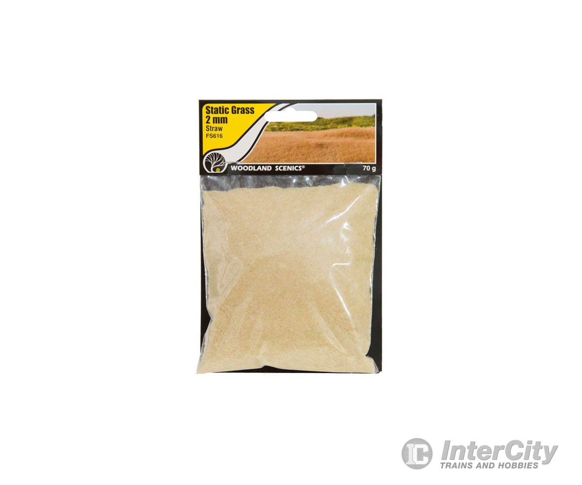 Woodland Scenics 616 Static Grass - Field System Straw 1/16’ 2Mm Fibers & Applicators