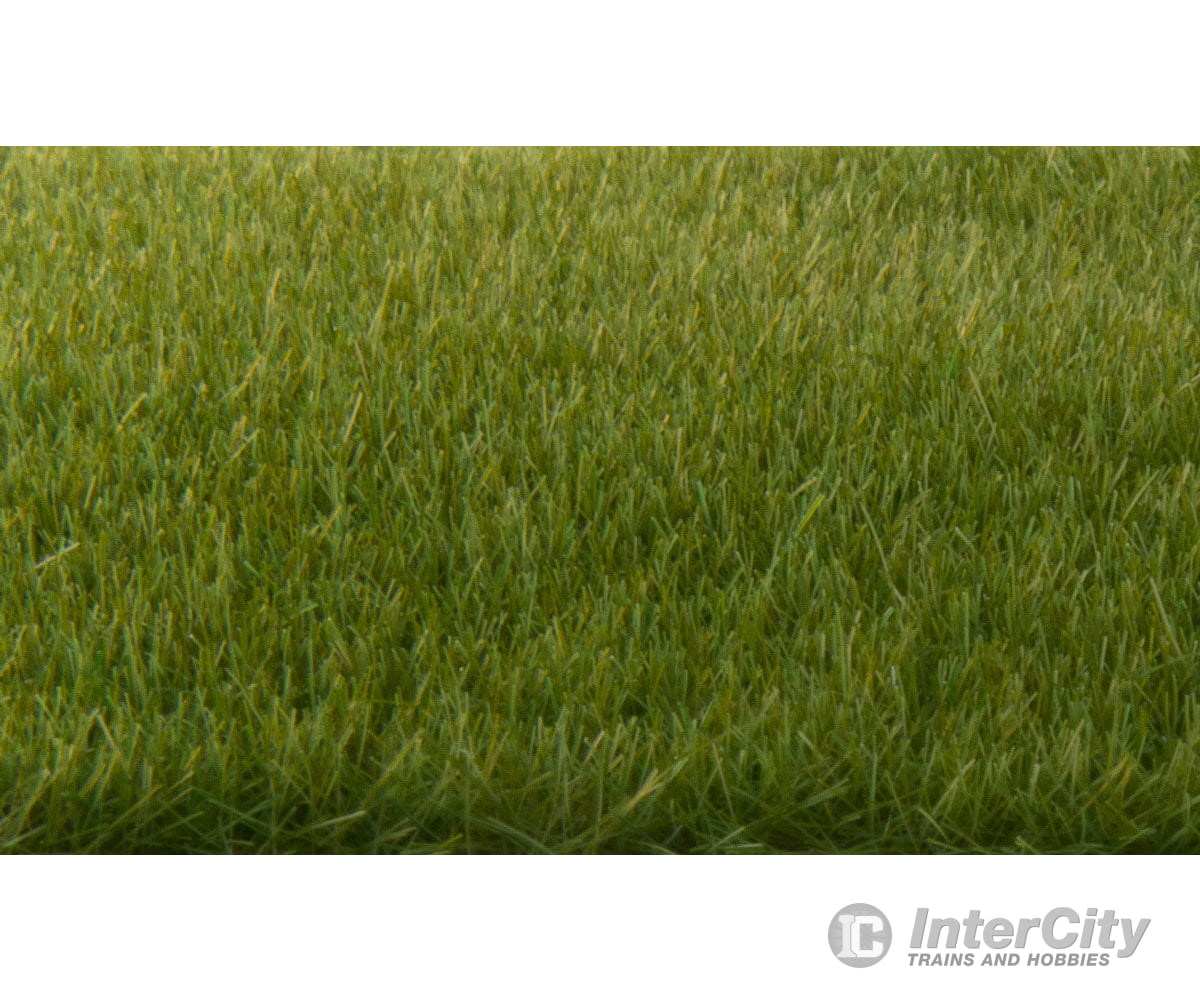 Woodland Scenics 617 Static Grass - Field System 1/8’ 4Mm Fibers Dark Green & Applicators