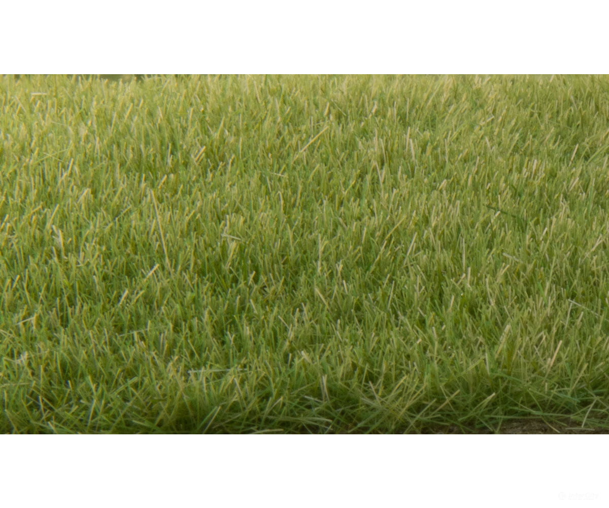 Woodland Scenics 618 Static Grass Medium Green 4Mm & Applicators