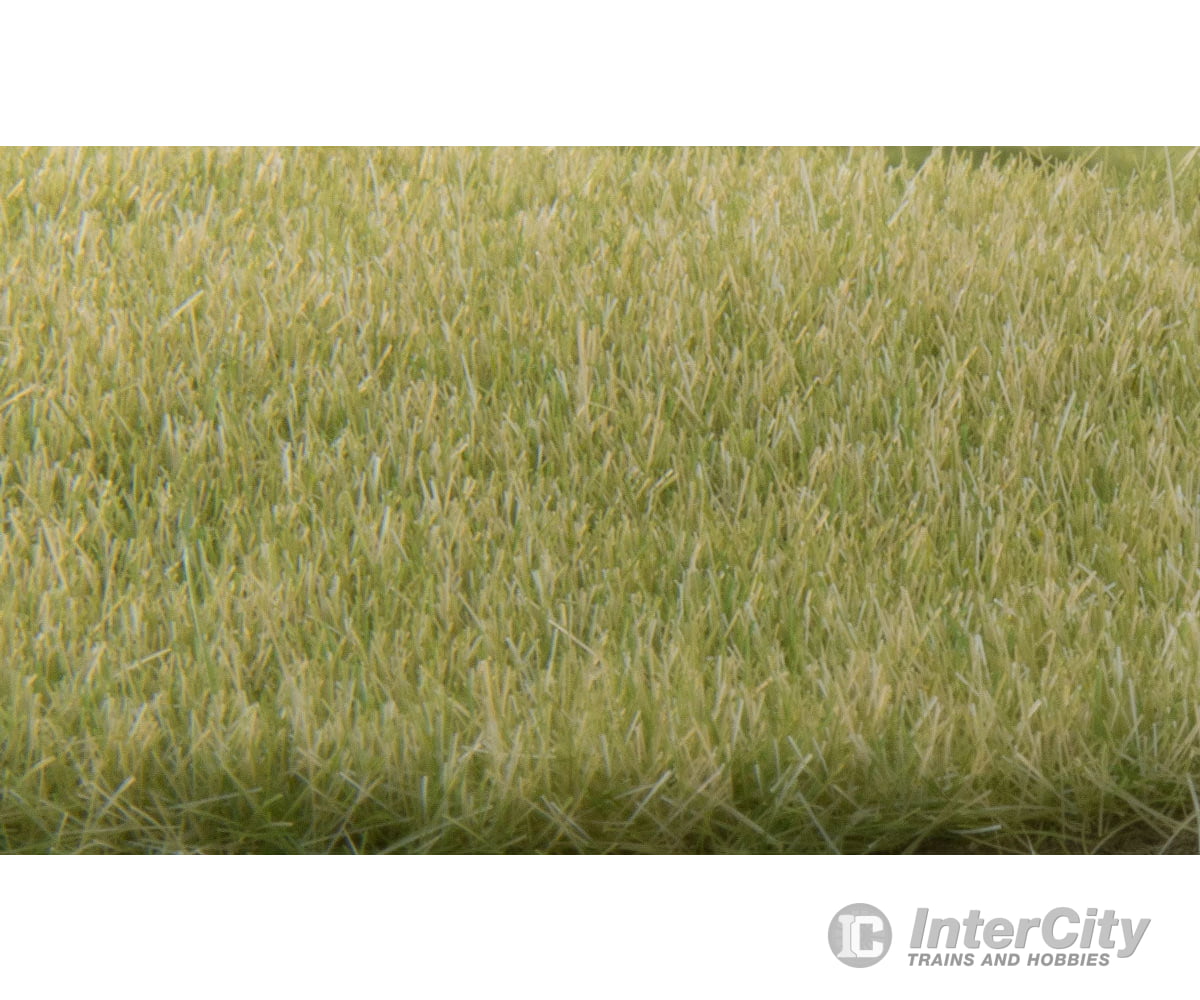 Woodland Scenics 619 Static Grass - Field System 1/8’ 4Mm Fibers Light Green & Applicators