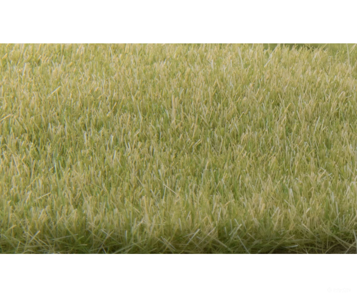 Woodland Scenics 619 Static Grass - Field System 1/8’ 4Mm Fibers Light Green & Applicators