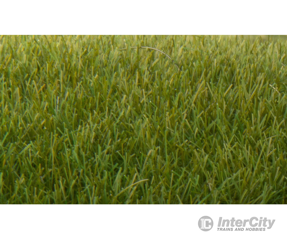 Woodland Scenics 621 Static Grass - Field System Dark Green 1/4’ 7Mm Fibers & Applicators