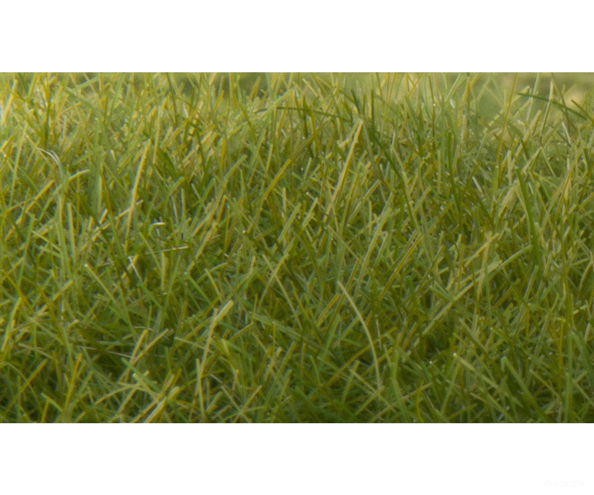 Woodland Scenics 625 Static Grass - Field System Dark Green 1/2’ 12Mm Fibers & Applicators