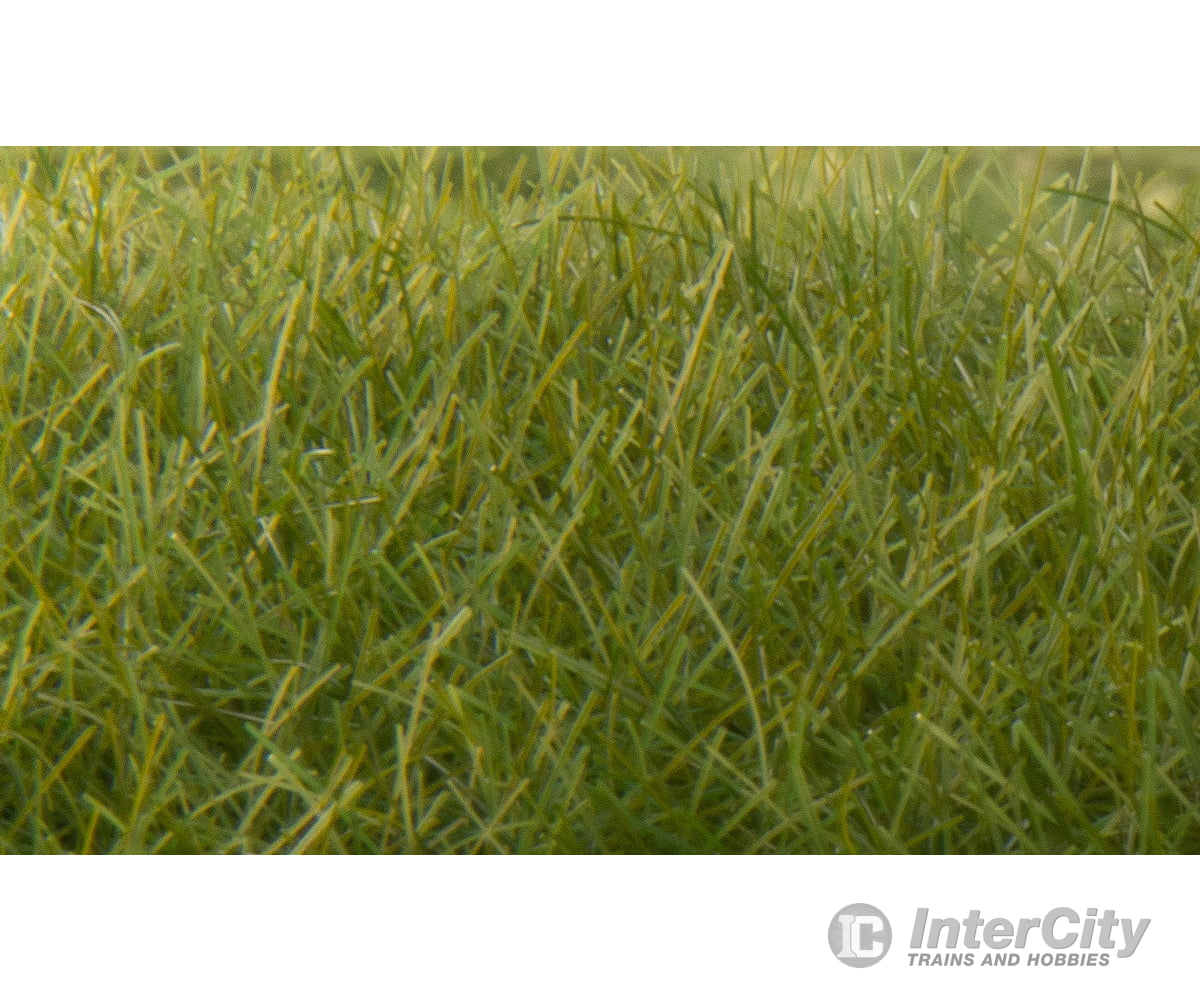 Woodland Scenics 625 Static Grass - Field System Dark Green 1/2’ 12Mm Fibers & Applicators