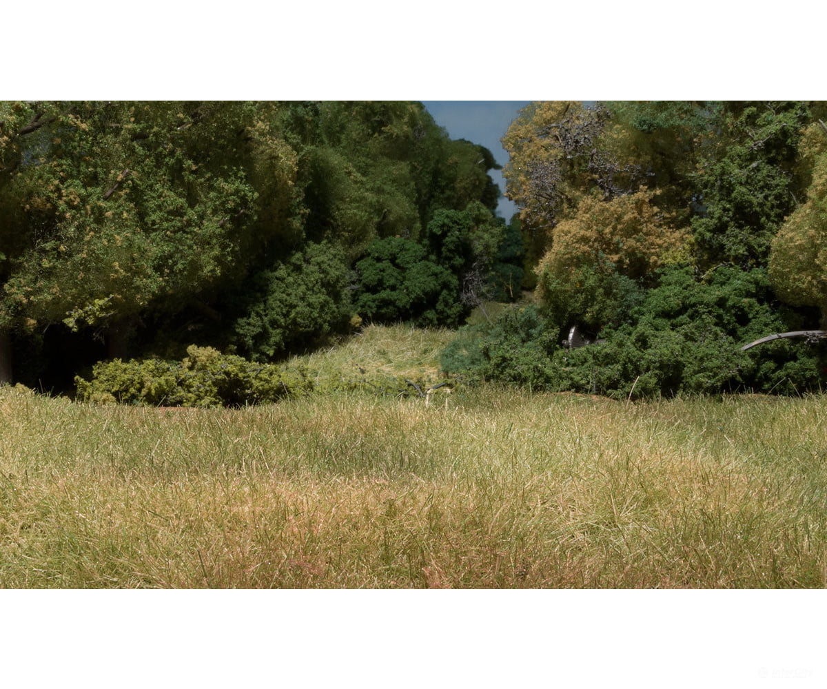 Woodland Scenics 629 Field System - Plant Hues 1.8 Cubic Inches 29.5 Centimeters Each Golden Wheat