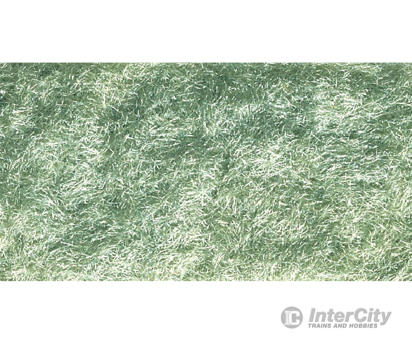 Woodland Scenics 634 Static Grass Flock Light Green (32 Oz) & Applicators
