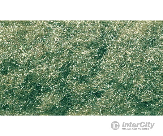 Woodland Scenics 635 Static Grass Flock Medium Green (32 Oz) & Applicators