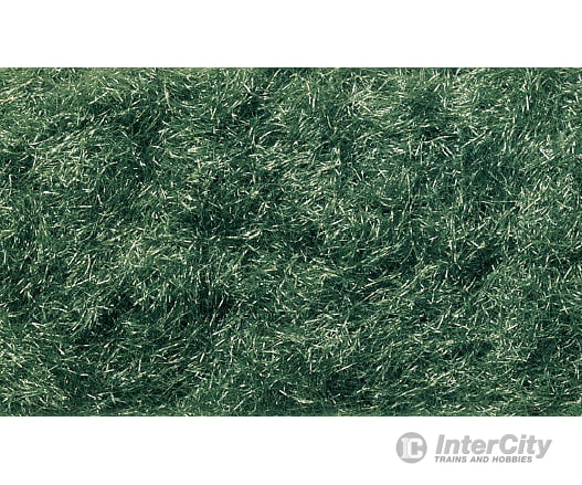 Woodland Scenics 636 Static Grass Flock Dark Green (32 Oz) & Applicators