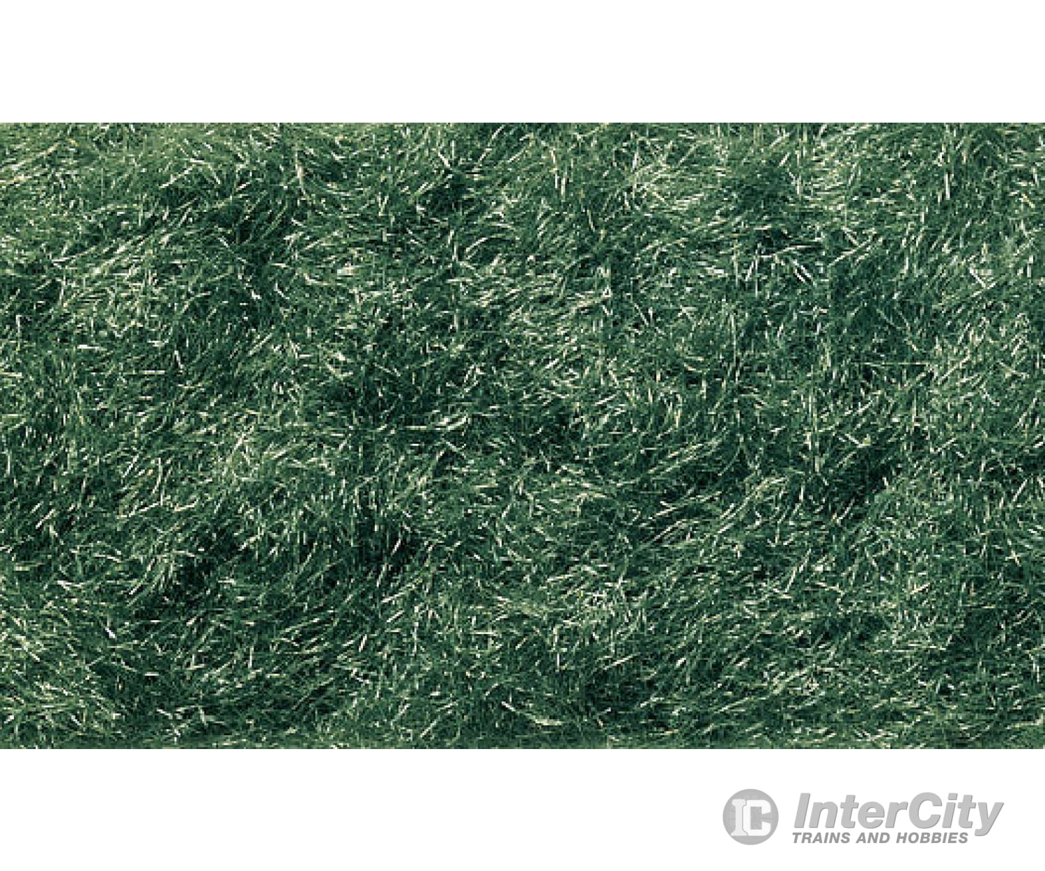 Woodland Scenics 636 Static Grass Flock Dark Green (32 Oz) & Applicators