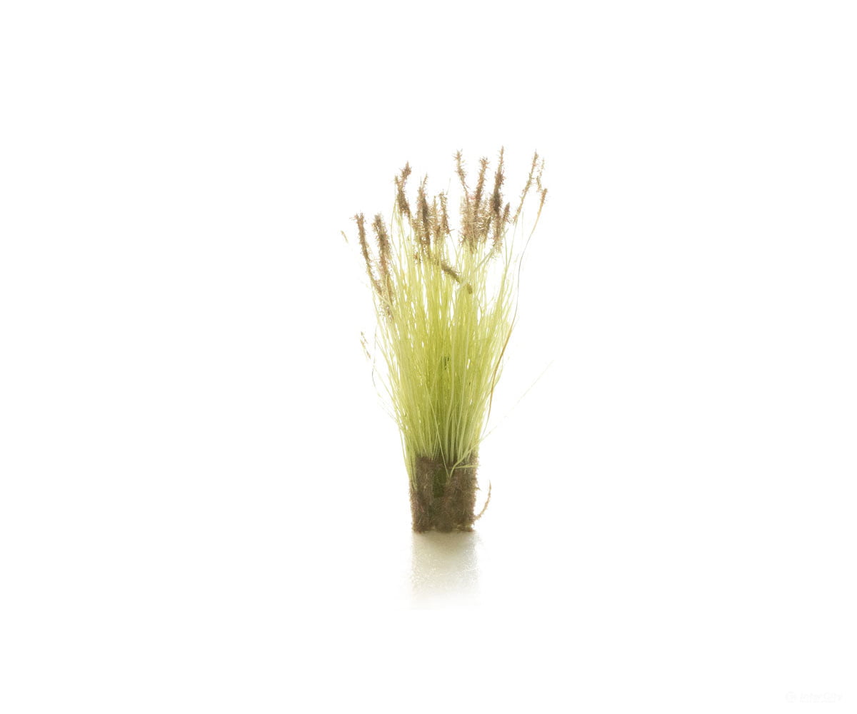 Woodland Scenics 779 Brown Tipped Prairie Grass & Scenery Mats