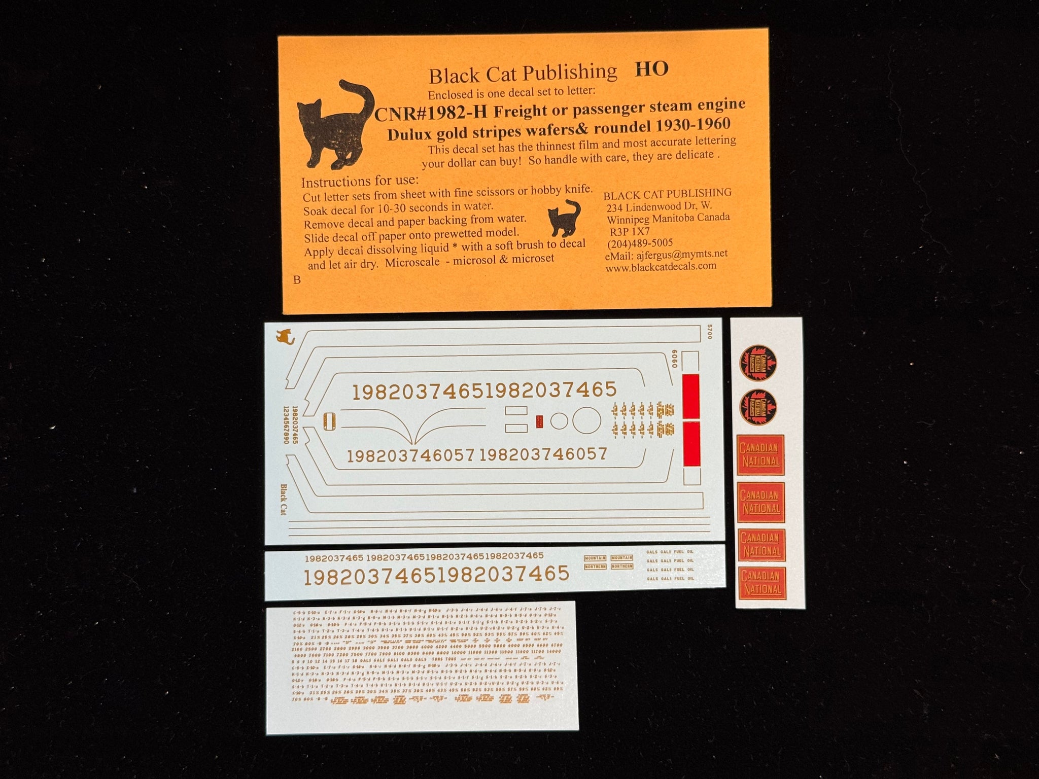 Black Cat Decals CNR1982-H HO CNR Steam Engines Freight or Passenger Dulux Gold 1930s -1961